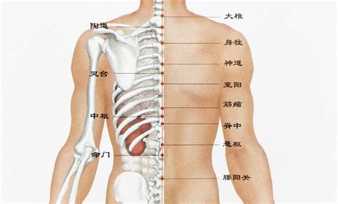 右肩胛骨有痣|男人背上有痣图解 右肩胛骨富贵命